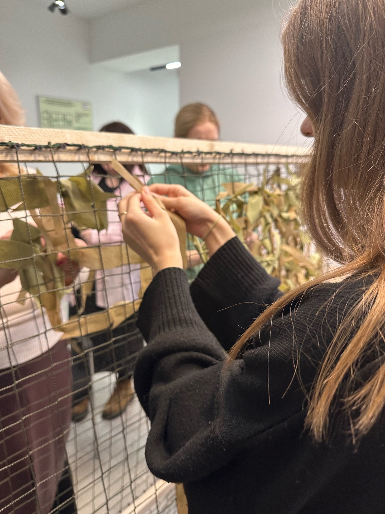 загруженное (6)