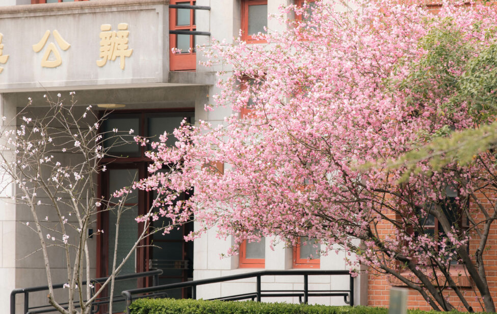 Летние курсы Шанхайской организации сотрудничества