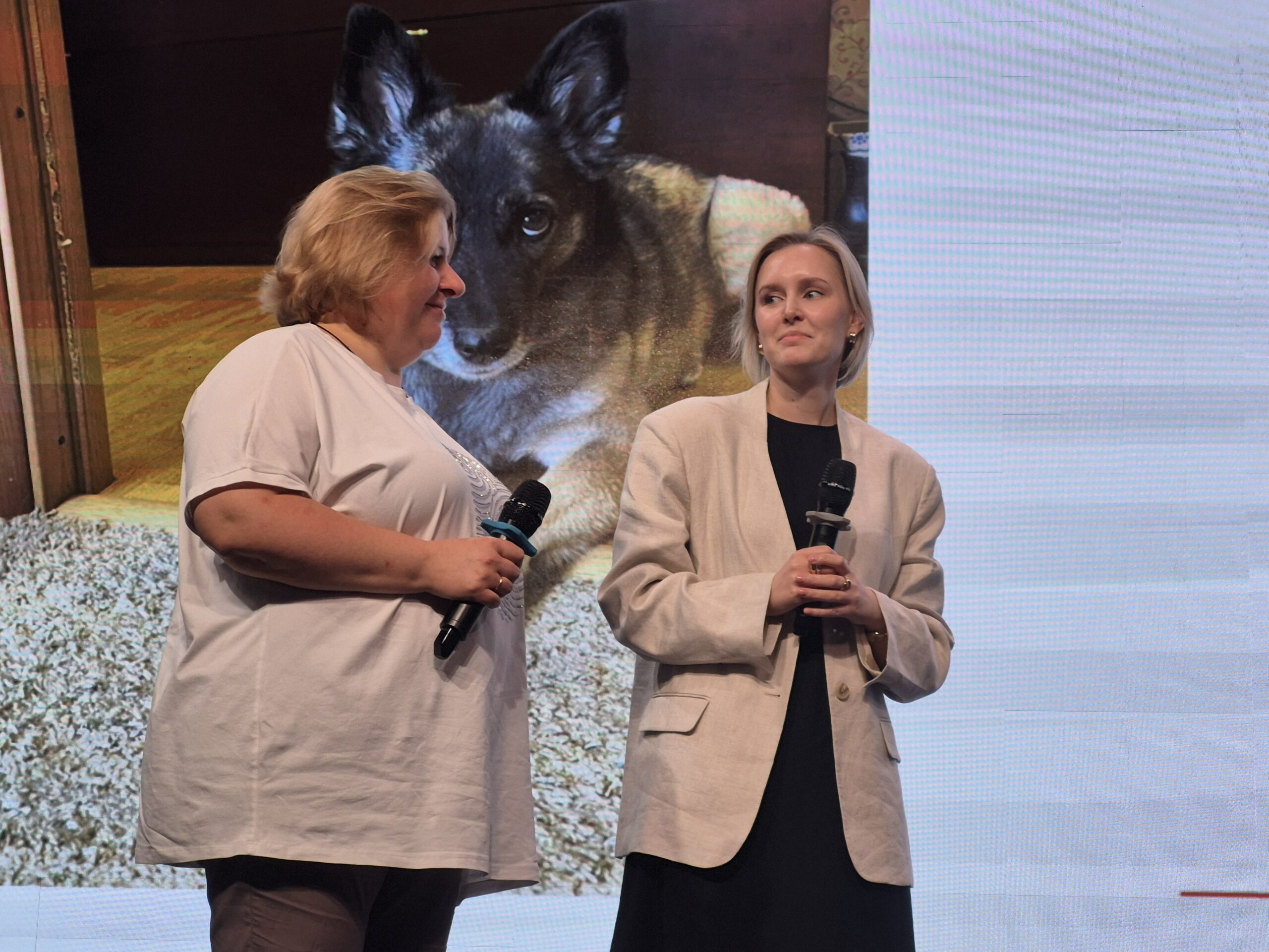 загруженное (3)