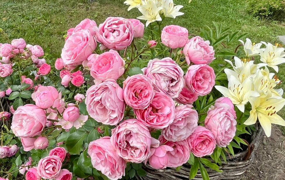 Поздравляем с юбилейными датами в августе