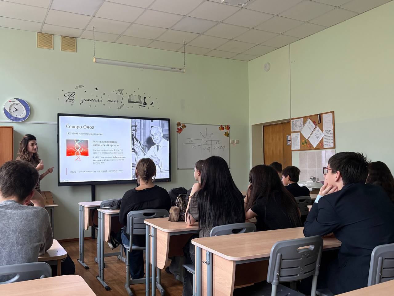 загруженное (5)