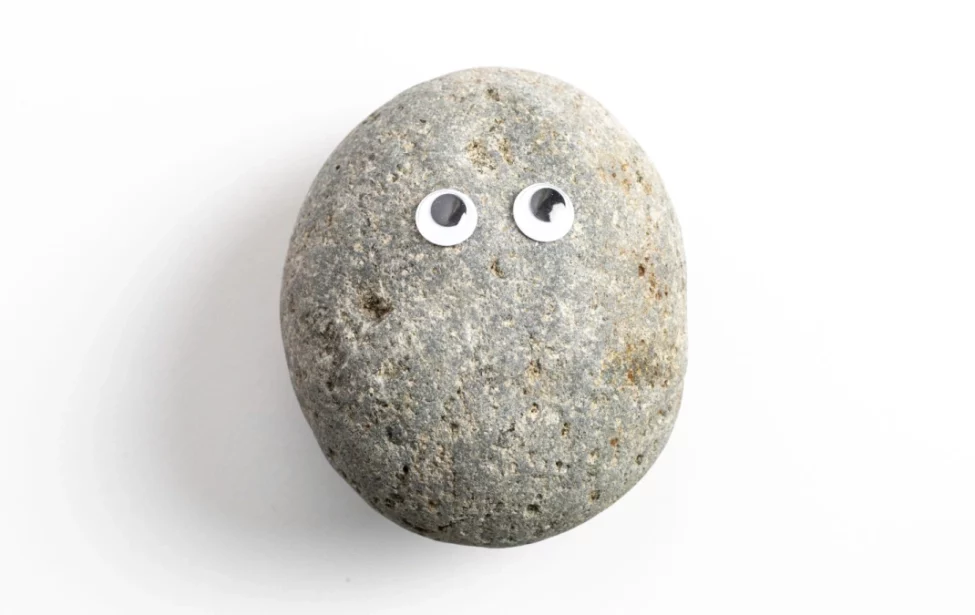 Камни с&nbsp;глазами захватывают мир: что нужно знать о&nbsp;петрокерах