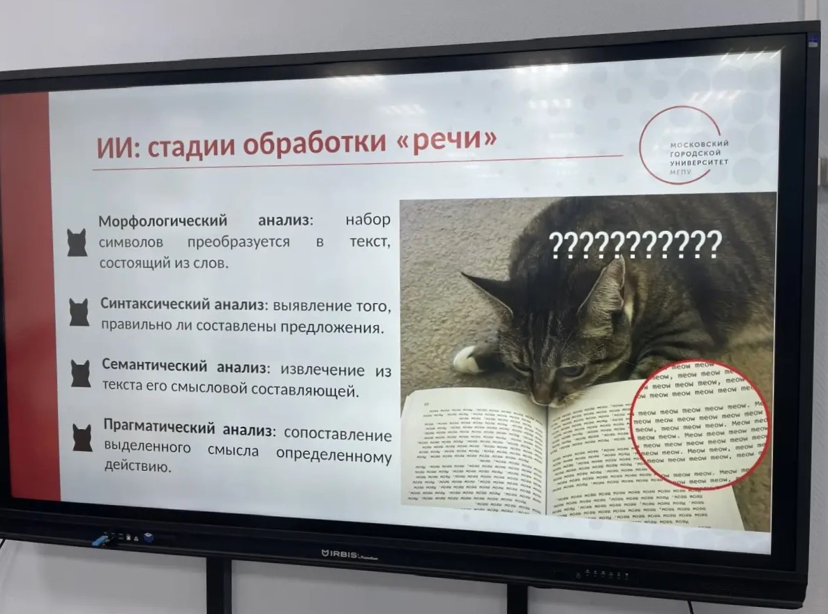 Доцент ИЦО провела лекцию «Кошачий ИИ» в ГБОУ «Школа № 544»