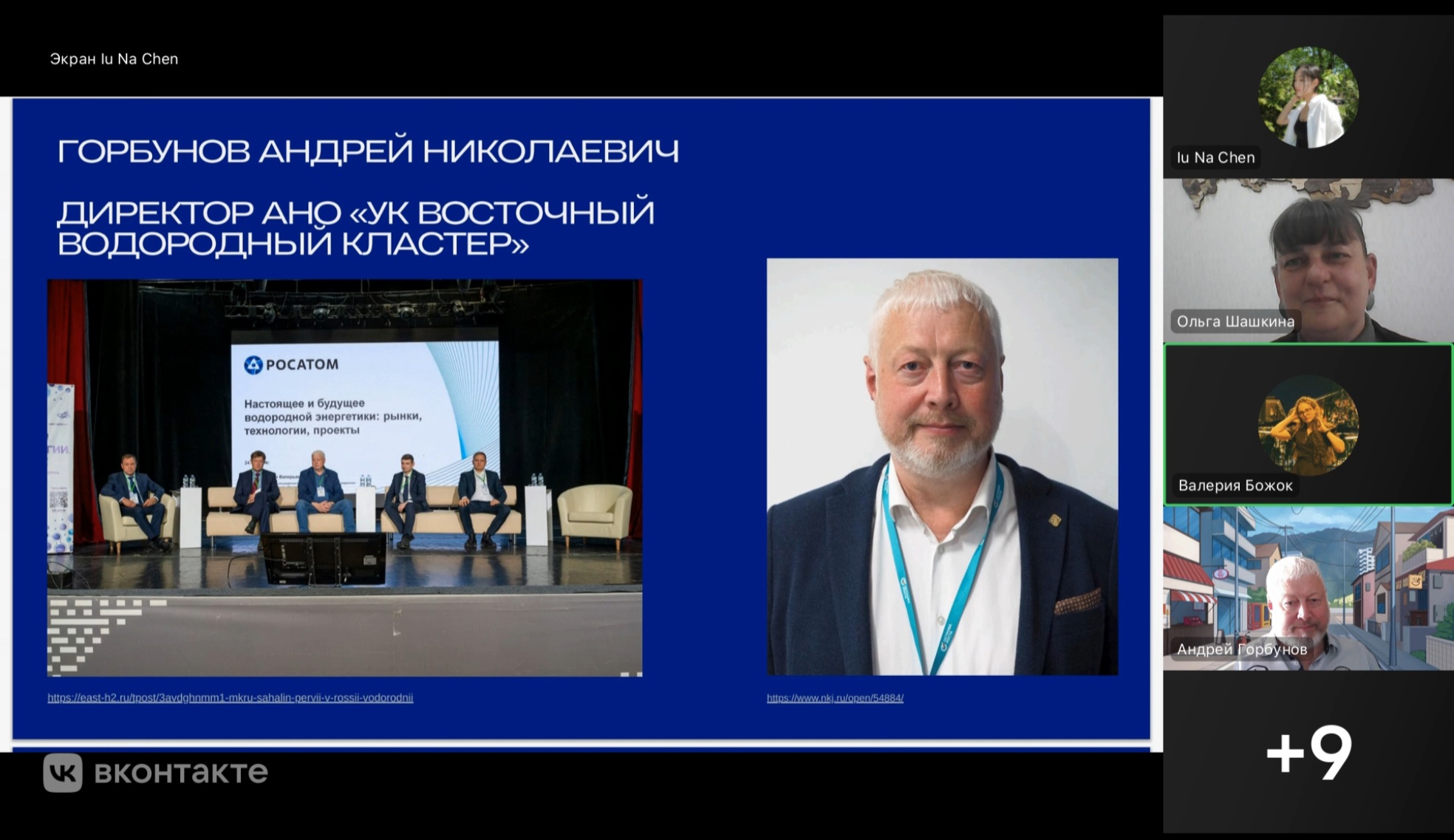 круглый стол «Реальность и перспективы развития водородного топлива в России и странах Восточной Азии»